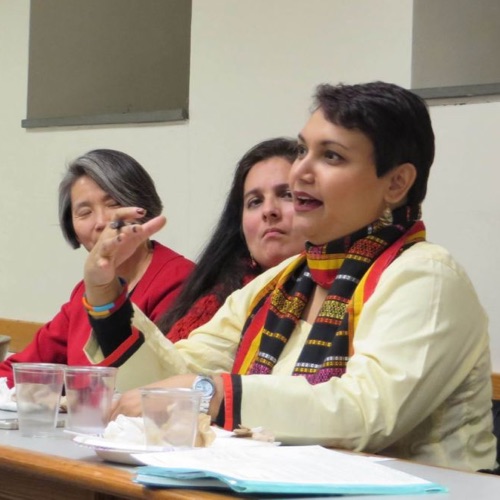 Dr. Farhana Sultana at the Democratizing Knowledge Faculty Panel, Syracuse University, 2015